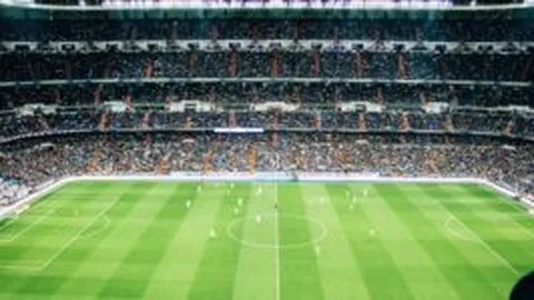 狼队主席施瑜荣退转岗，施佳瀛挺身而出担纲领队重任