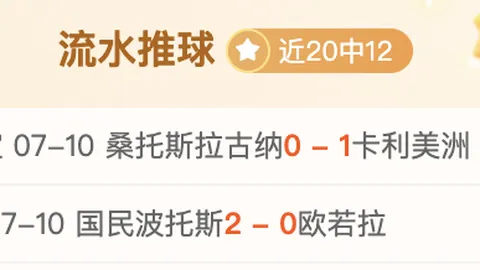 推荐 足球攻略周五008德乙前瞻：波鸿对柏林赫塔终极比赛指南